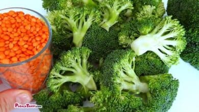 Herkes Benden Bu Tarifi İstiyor Çünkü Bu Tarif Çocuklara Gizlice Brokoli Yediriyor